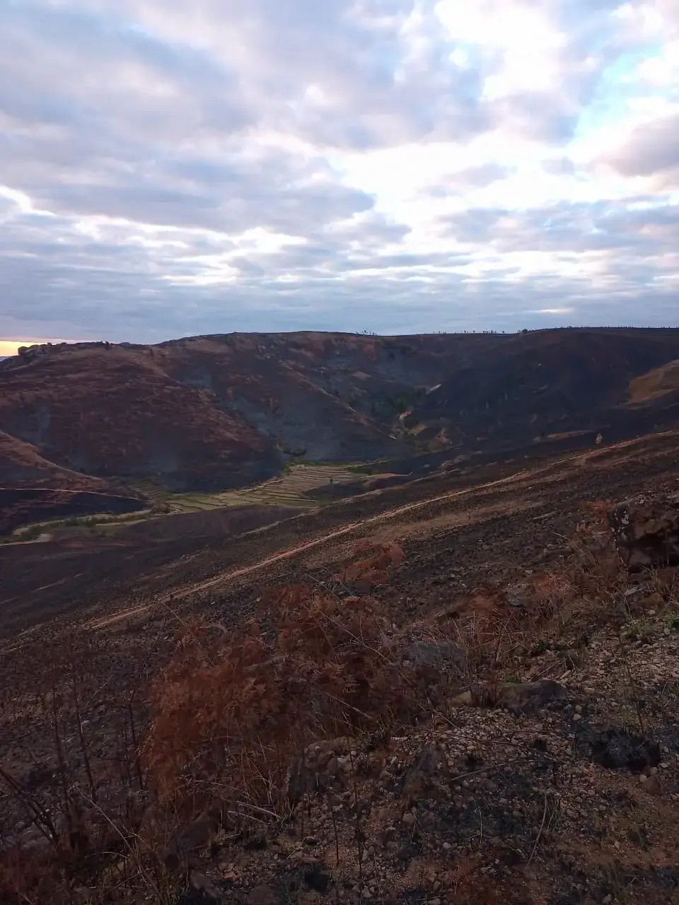 Terre craquelée et assoiffée sous un ciel ouvert — sécheresse et pression climatique du quotidien